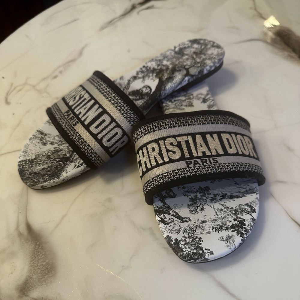 Christian Dior dway slides